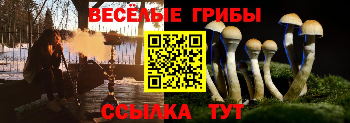 Галлюциногенные грибы мицелий Большой Камень