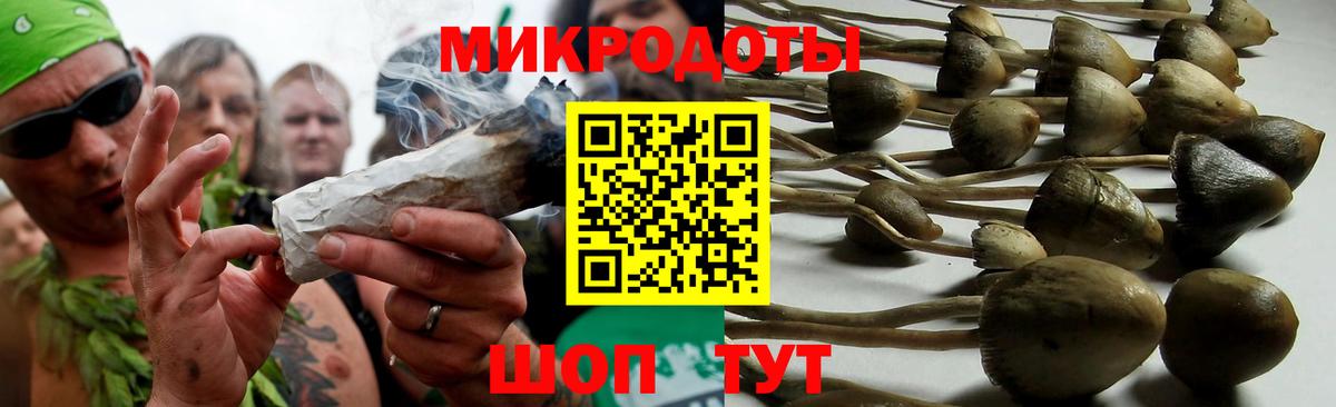 Большой Камень  Псилоцибиновые грибы GOLDEN TEACHER  Вход с VPN 